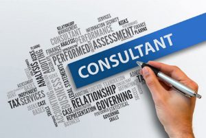 Consultant
