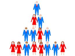 tu-van-hop-nhat-cong-ty