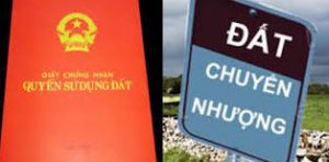 giai quyet ho so chuyen nhuong