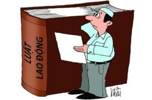 luat lao dong lawpro