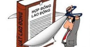 tranh chap hop dong lao dong